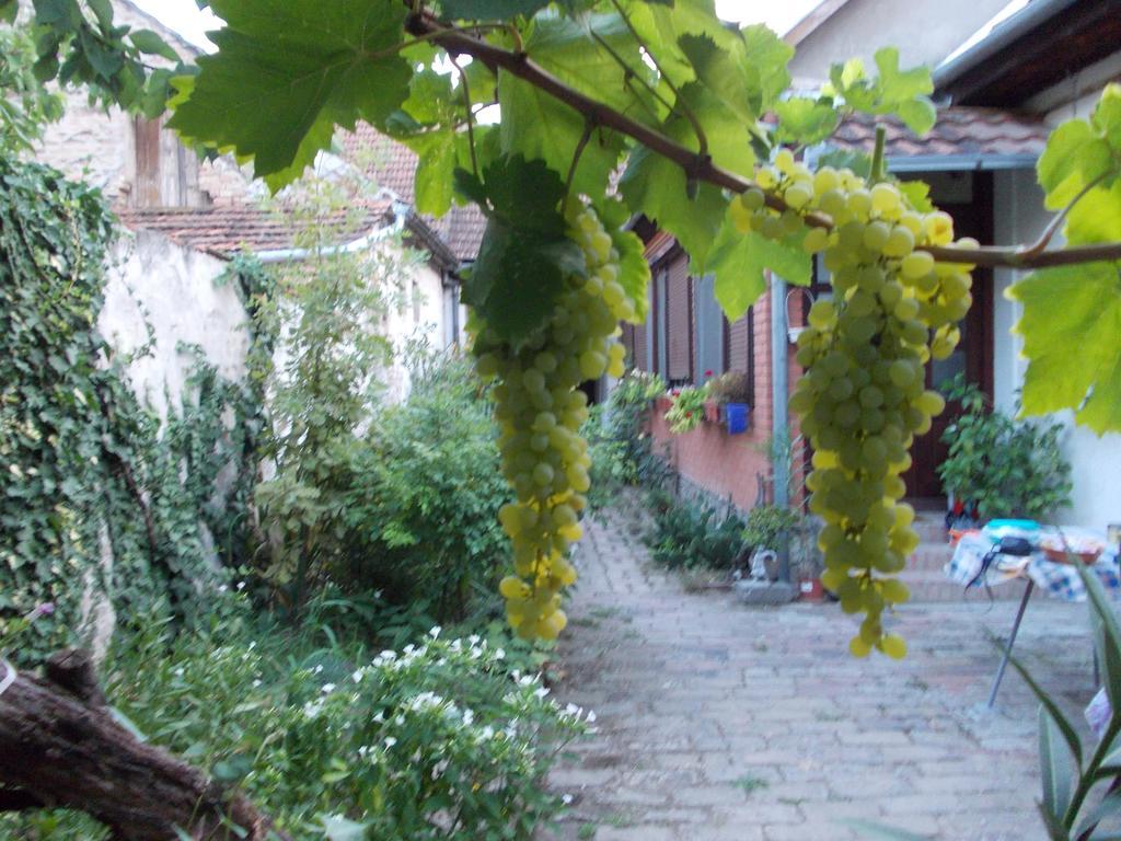 Sobe Gajic Sremski Karlovci Zewnętrze zdjęcie
