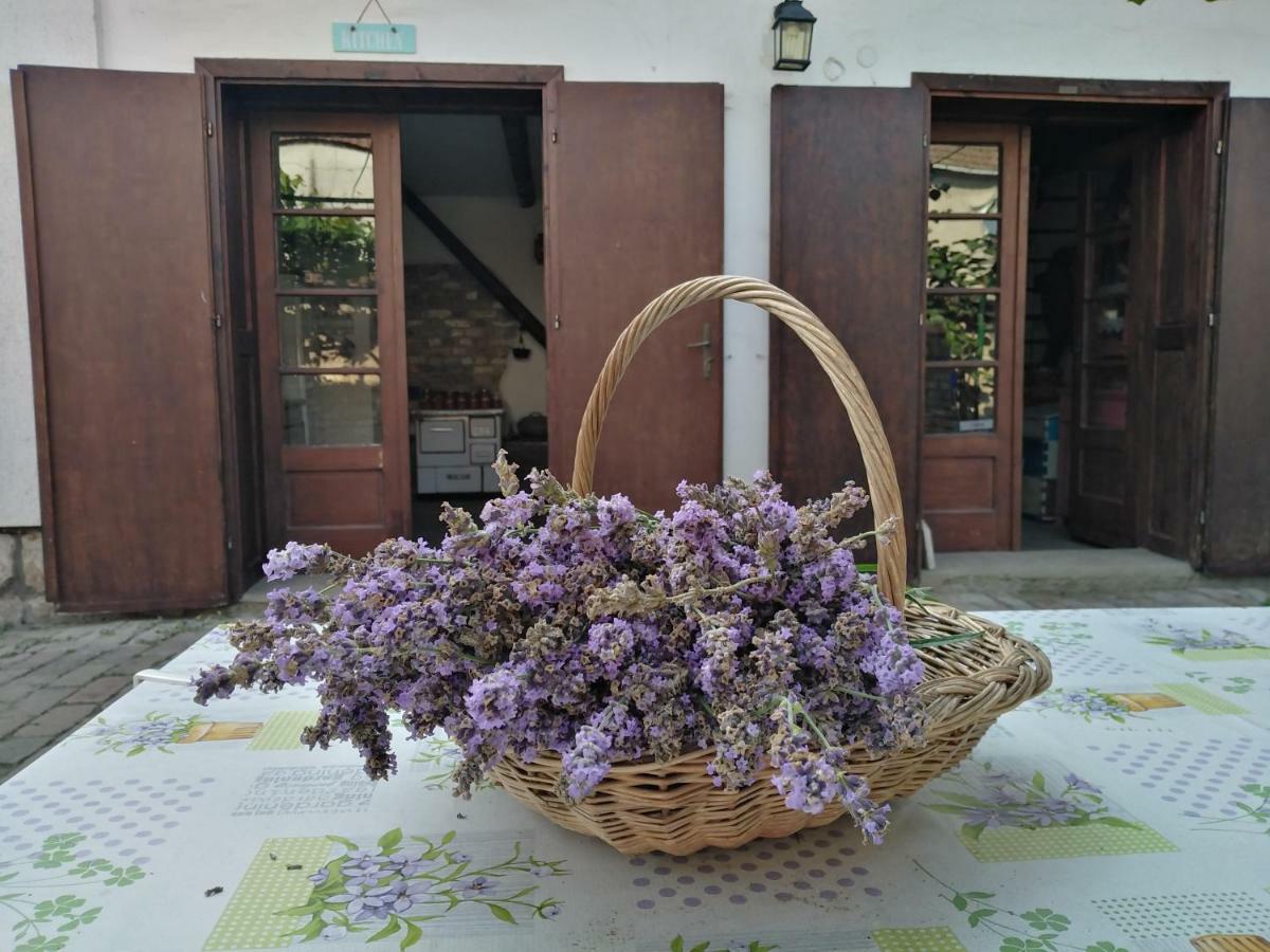 Sobe Gajic Sremski Karlovci Zewnętrze zdjęcie